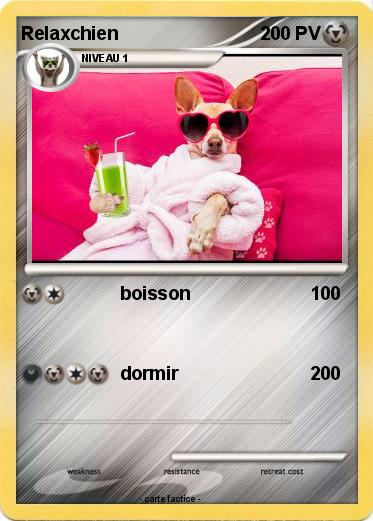 Pokemon Relaxchien