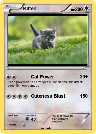 Pokemon Kitten
