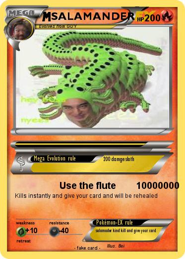 Pokemon SALAMANDER