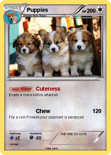 Pokemon Puppies
