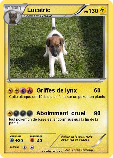 Pokemon Lucatric