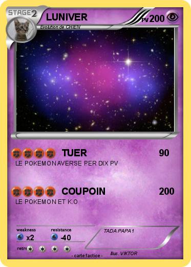 Pokemon LUNIVER