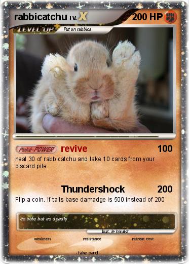 Pokemon rabbicatchu