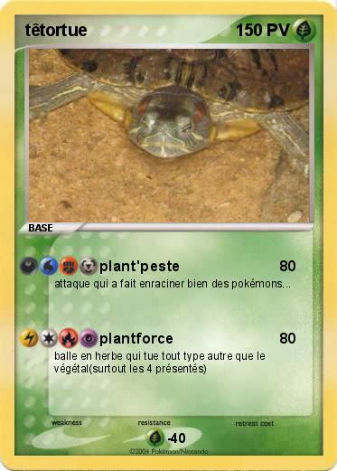 Pokemon têtortue