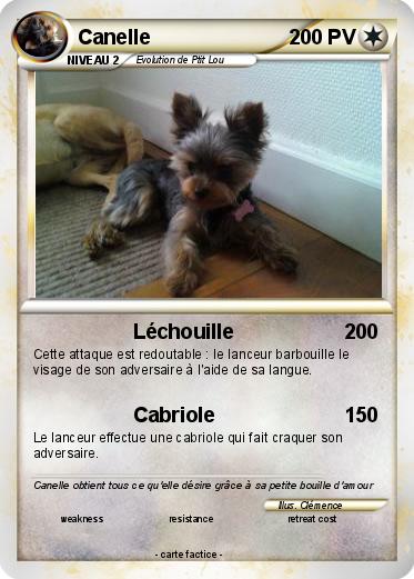Pokemon Canelle