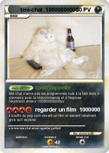 Pokemon télé-chat  10000000000