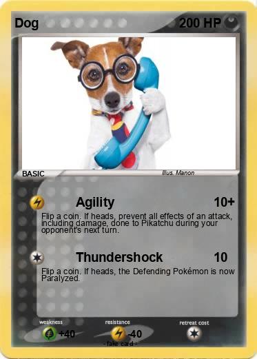 Pokemon Dog