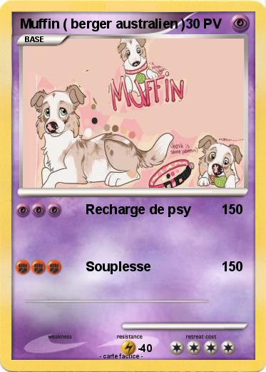 Pokemon Muffin ( berger australien )