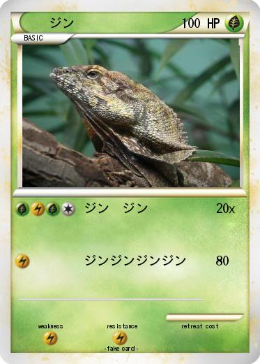 Pokemon ジン