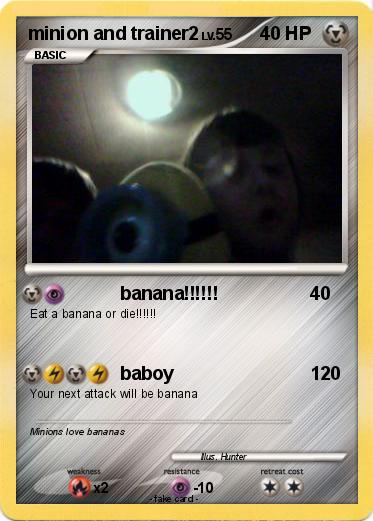 Pokemon minion and trainer2