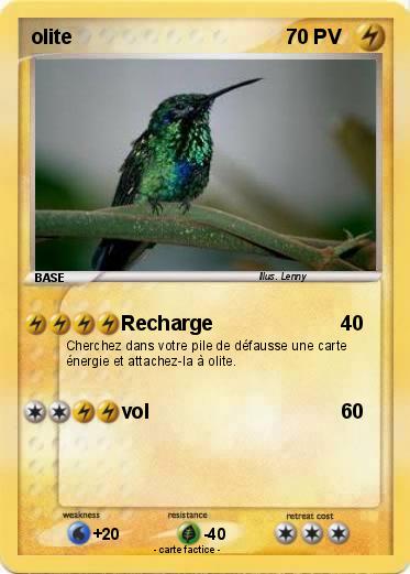 Pokemon olite