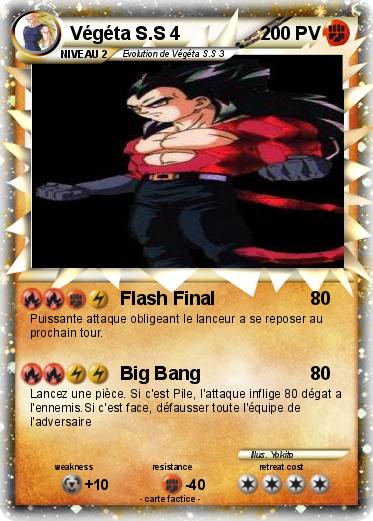 Pokemon Végéta S.S 4