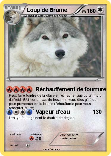 Pokemon Loup de Brume