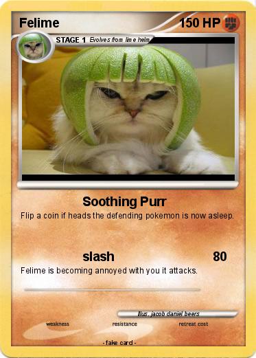 Pokemon Felime
