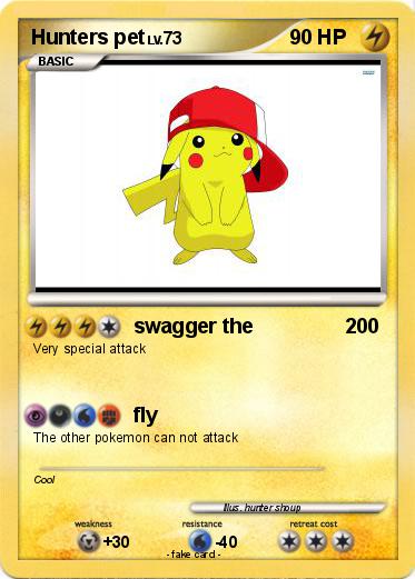 Pokemon Hunters pet