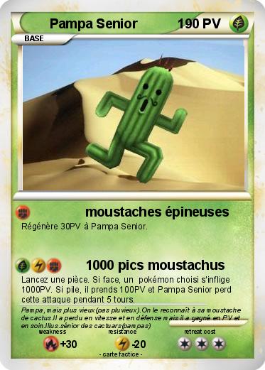 Pokemon Pampa Senior           1