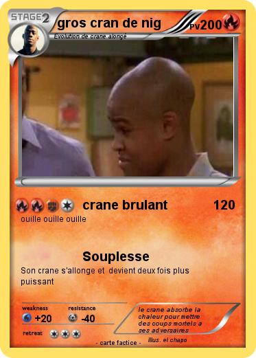 Pokemon gros cran de nig