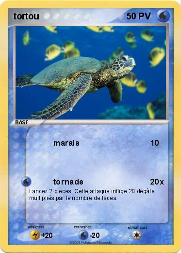 Pokemon tortou