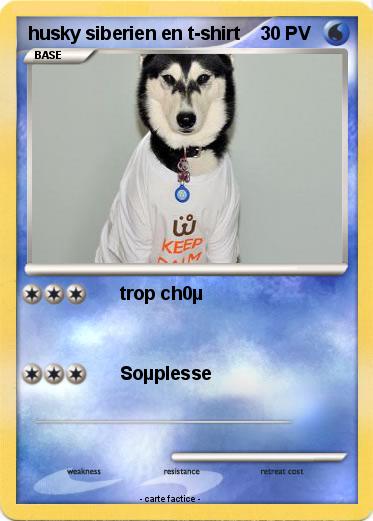 Pokemon husky siberien en t-shirt