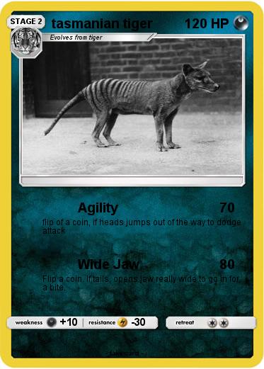 Pokemon tasmanian tiger