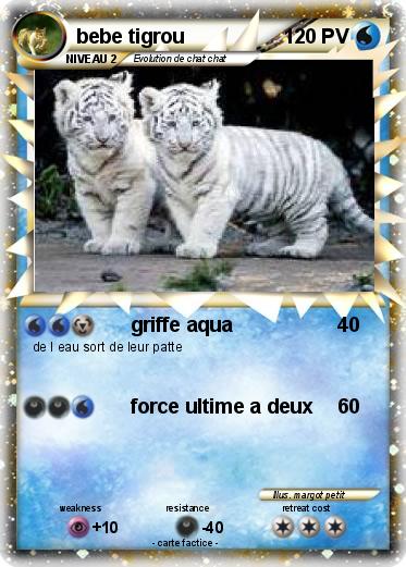 Pokemon bebe tigrou