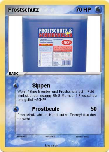 Pokemon Frostschutz