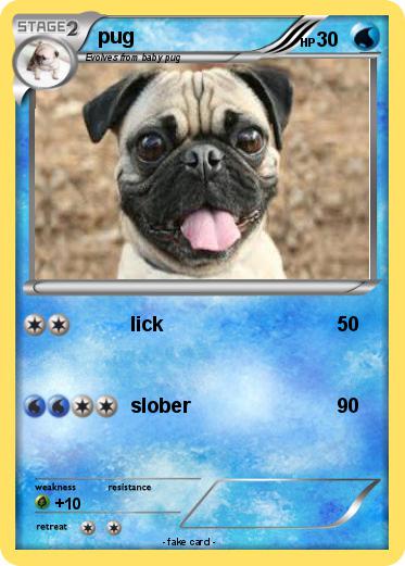 Pokemon pug