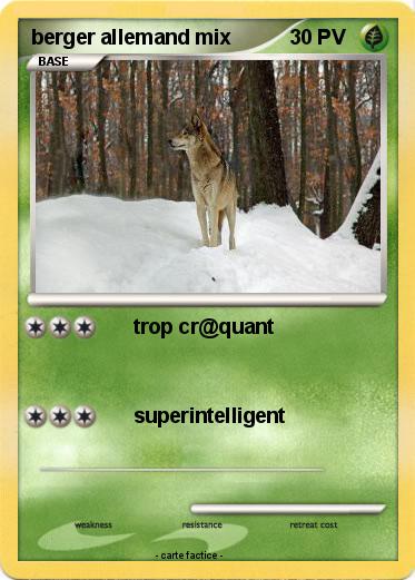 Pokemon berger allemand mix