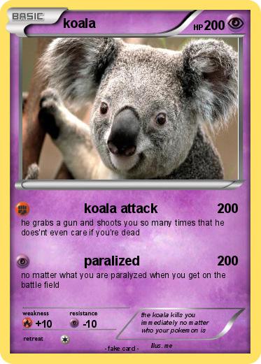 Pokemon koala