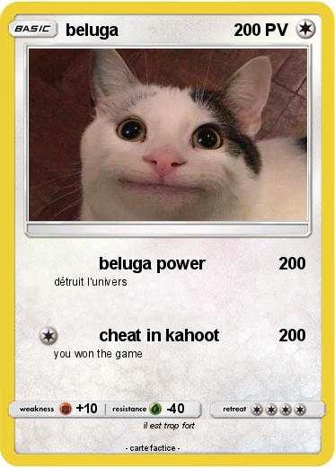 Pokemon beluga