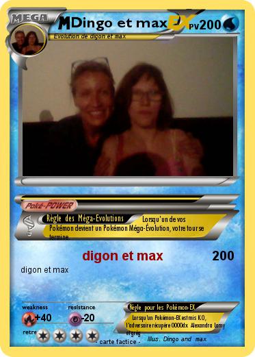 Pokemon Dingo et max
