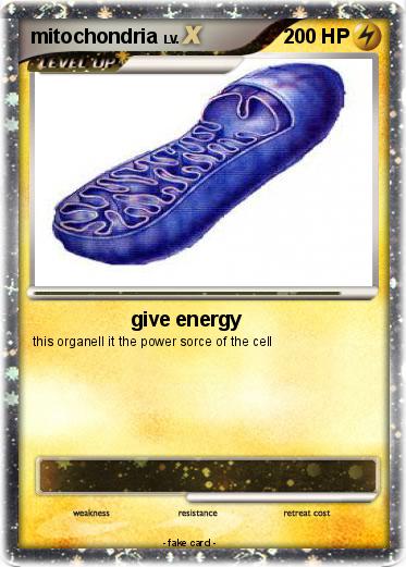 Pokemon mitochondria