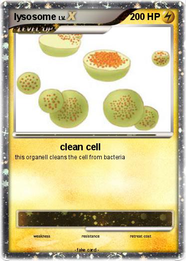 Pokemon lysosome