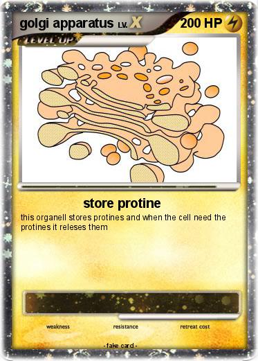 Pokemon golgi apparatus