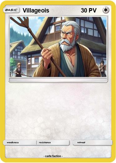 Pokemon Villageois