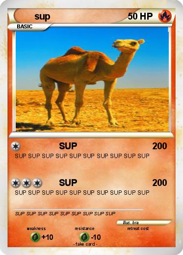 Pokemon sup