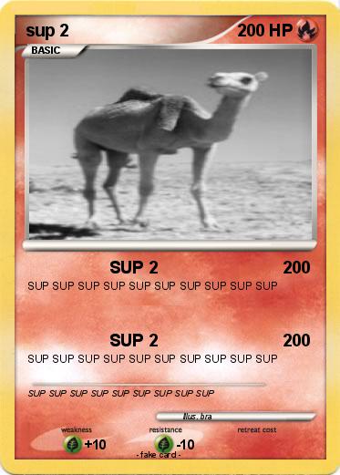 Pokemon sup 2