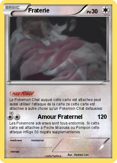Pokemon Fraterie
