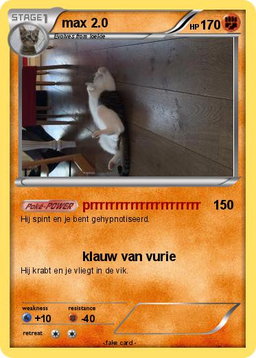 Pokemon max 2.0