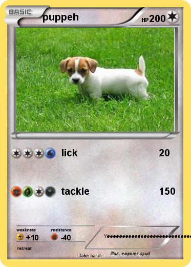 Pokemon puppeh