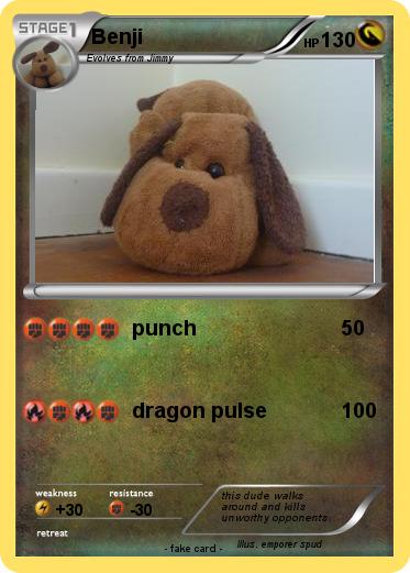 Pokemon Benji