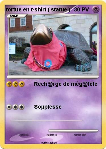 Pokemon tortue en t-shirt ( statue )