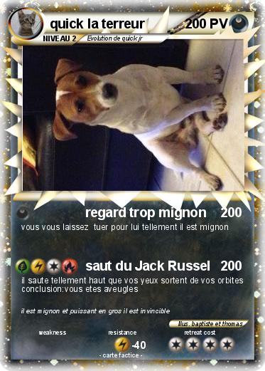 Pokemon quick la terreur