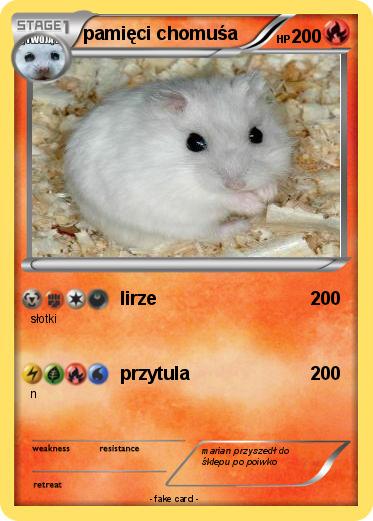 Pokemon pamięci chomuśa