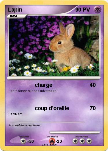 Pokemon Lapin