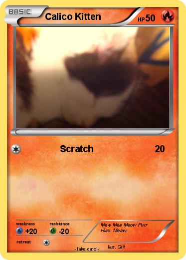 Pokemon Calico Kitten