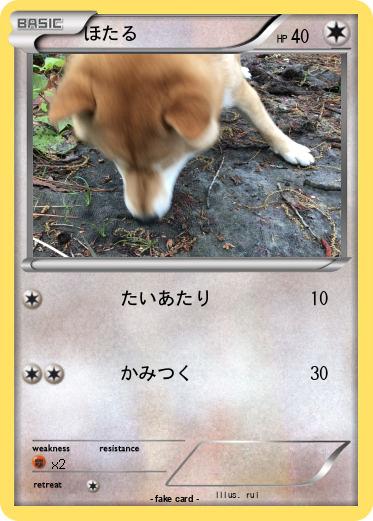 Pokemon ほたる