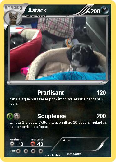 Pokemon Aatack