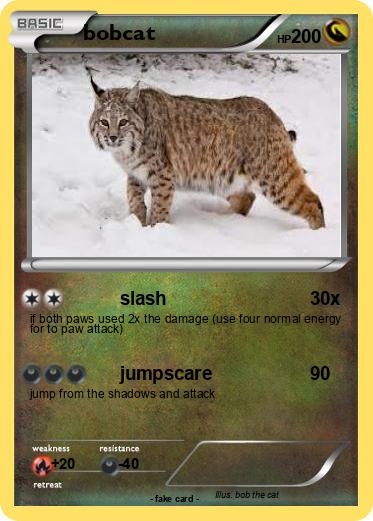 Pokemon bobcat