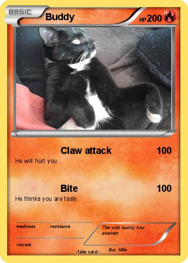 Pokemon Buddy